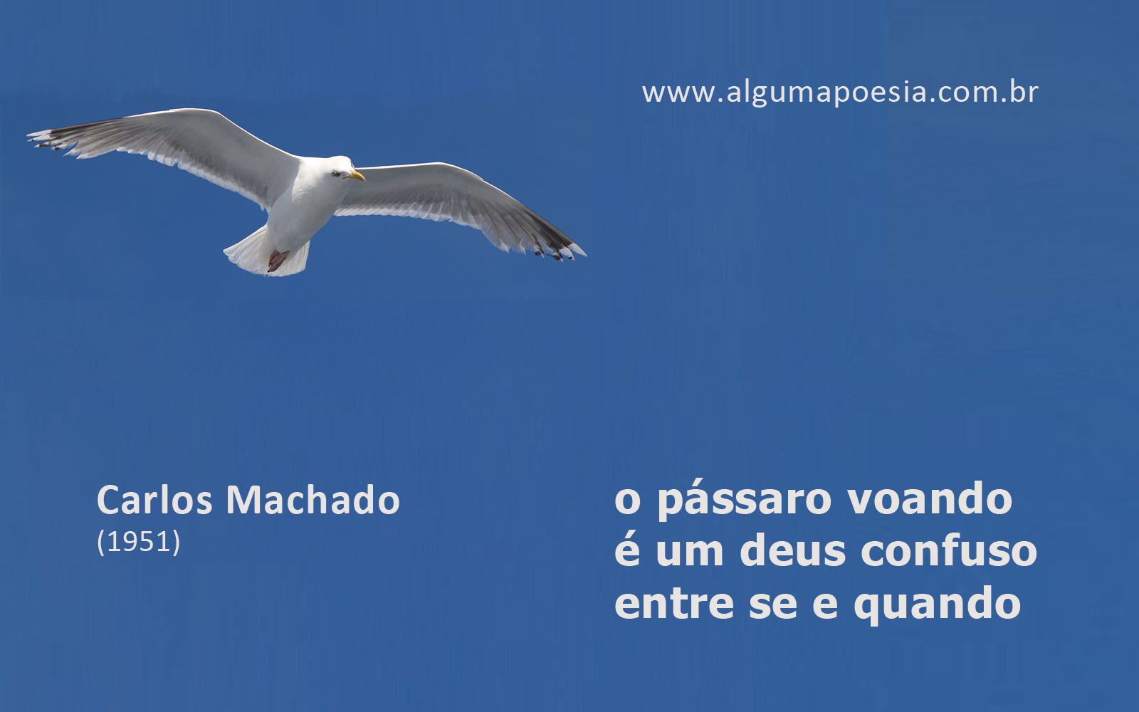Carlos Machado - Provrbio 3