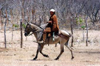 E na garupa / do cavalo, a sentença das esporas. (Everardo Norões) - Foto Hugo Macedo: http://www.fotohugo.blogspot.com/