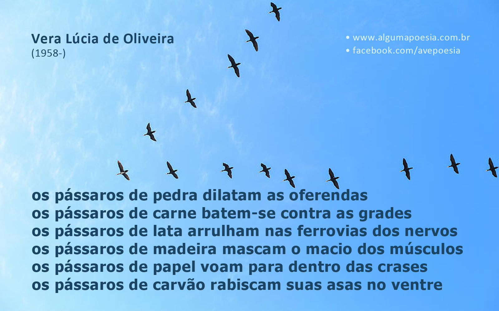 Cartão poético - Vera Lúcia de Oliveira